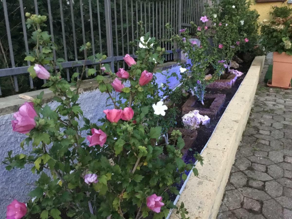 Villa Marilena Ranzanico Zewnętrze zdjęcie